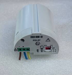 Fel57 Endress Hauser Module