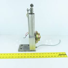 0194294-w0019 Skf 32x100x1/d24c Capr Linear Actuator