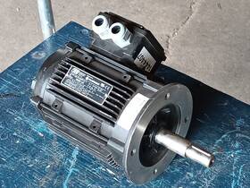 80m2d-42 Tee Electric Motors Q3e Fb H Motor 3 Mot Ip55 Filtermist