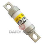 10PCS New Box Hinode 660GH-100ULTC Fuse. Fixed Price $222.89.