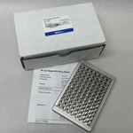 New Applied Biosystems 96-WELL Magnetic Ring Stand AM10050 Thermo Invitrogen. Fixed Price $549.95.