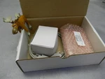 Tridonic Dali-bm RS232 Bushmaster Kit W/cable & Power Supply. Fixed Price $500.23.