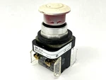Allen Bradley 800T-FX1A1 Ser Push-pull Mushroom Pushbutton Painted White. Fixed Price $44.99.